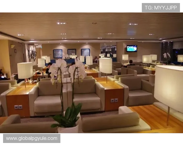 广东AG贵宾厅的安全保障体系分析,让会员放心享受每一次高端体验 广东AG贵宾厅的安全保障体系分析,让会员放心享受每一次高端体验